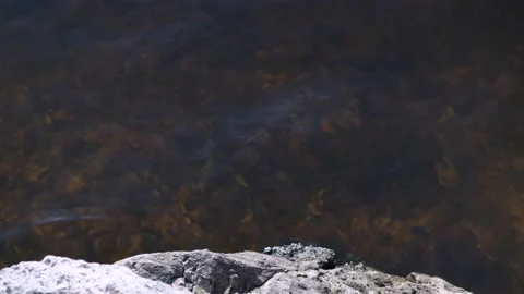 The bottom is through clear water. Small waves hitting stones Stock Footage 136115578