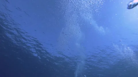 Bottom to top look up view to the surface of ocean with bubbles sprinkling movem Stock Footage 260238773