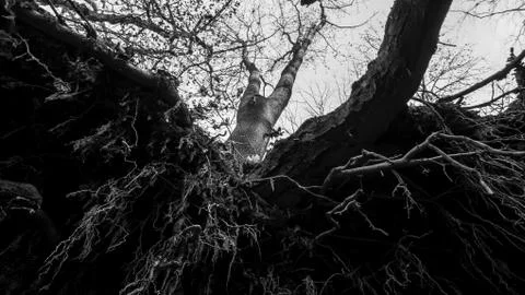 Bottom to top Stock Photos