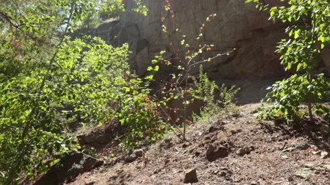 Bottom to top view on granite rocks Stock Footage 137642271