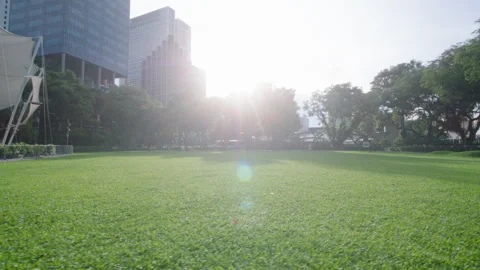Bottom to Top view of Hong Lim Park, Singapore Stock Footage 242573871