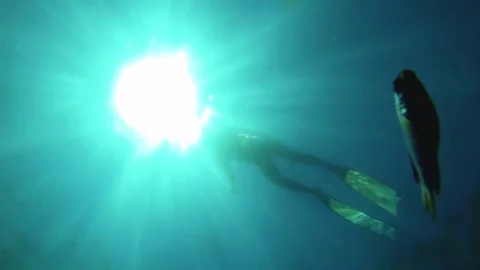 Bottom to top view of a young asian free diver wearing long fins and swim suit f Video stock 252952776