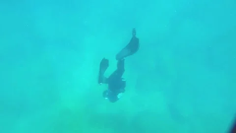 Bottom to top view of a young asian free diver wearing long fins and swim suit f Stock Footage 252953004