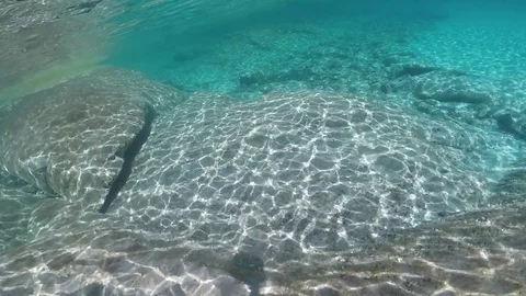 The bottom on underwater view Stock Footage 81707425