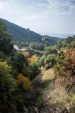 Bottom of the valley Stock Photos