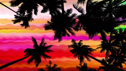 Bottom View 5 on Acid Sky through Palm Trees Vidéo 170600308
