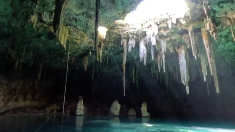 Bottom view of Cenote Cave with hanging stalagmites. Xcanahaltun, Mexico Stock Footage 241395666