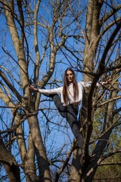 Bottom view charming cute slim girl is on top of unusual tree without leaves Stock Photos