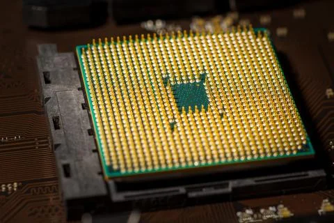 Bottom view of the computer processor with gold plated pins 写真素材