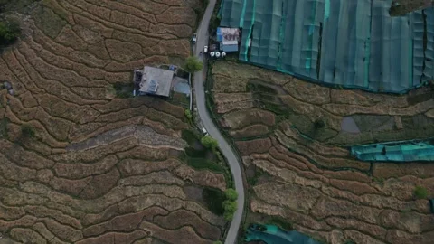 Bottom View Drone Shot of Himachal Farms – Aerial Agricultural Landscape Video stock 313382365