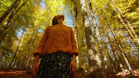 Bottom view of girl looking up to the tree tops covered with sunbeams and autumn Stock Footage 204052486