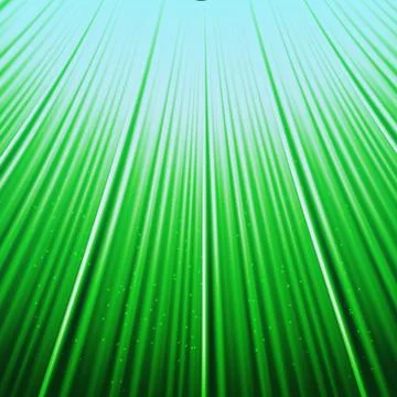Bottom up view grass to blue sky Stock Illustration