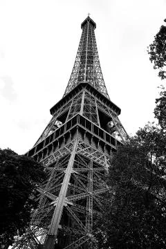 Bottom view of high Eiffel tower in Paris France in Black and White with tree Photos