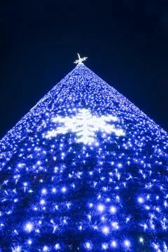 Bottom up view of a lighted Christmas tree cone Stock Photos