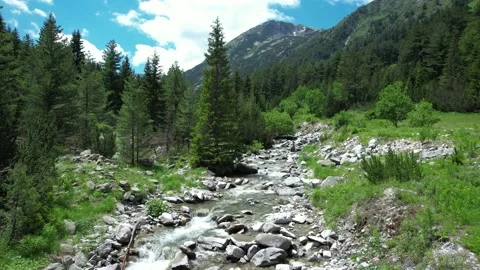 Bottom up view of mountainous river in Switzerland Stock Footage 201939906