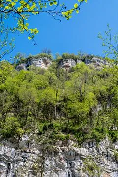 Bottom view of the mountains covered with trees Stock Photos