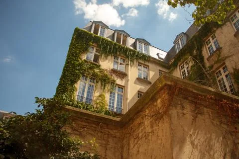 Bottom view of an old building with large windows twined with green ivy Foto stock
