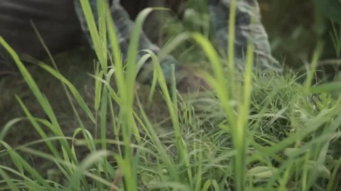 Bottom View Of Old Farmer Cutting Grass  스톡 동영상 133576589