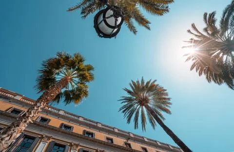 Bottom view of palm trees and building facade in Plaza real, Barcelona. Stock Photos