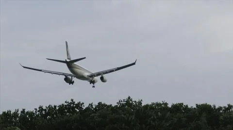 Bottom view of plane take off above the park of city flying among clear blue sky Fotos Stock