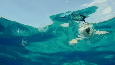 Bottom view of plastic debris drifts under surface of sea, slow motion Stock Footage 234793232