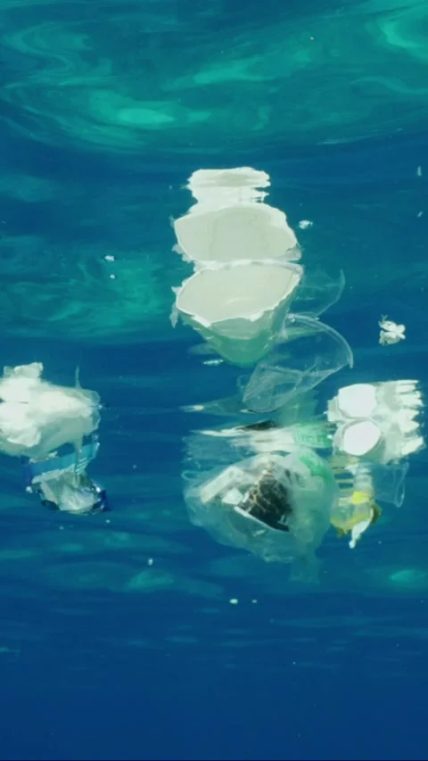 Bottom view of plastic debris drifts under surface of sea, slow motion Stock Footage 237077040