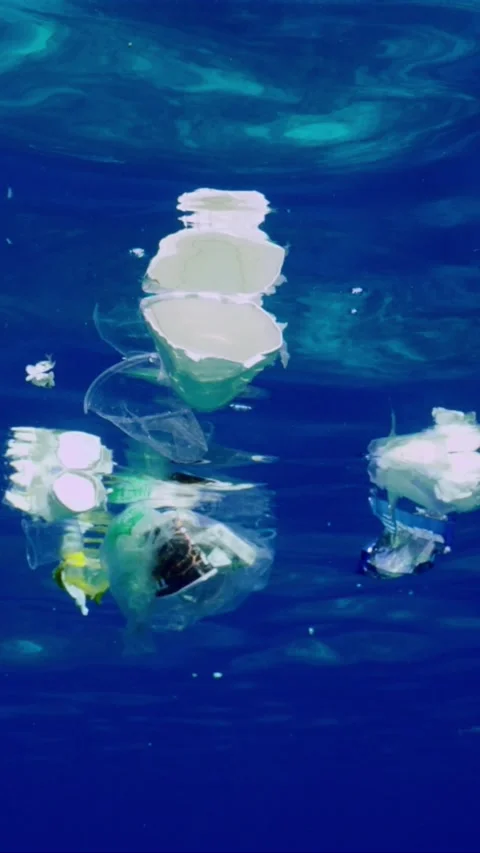 Bottom view of plastic debris drifts under surface of sea, slow motion Stock Footage 249394881