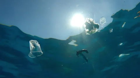 Bottom view of plastic garbage floating on water surface, against background of Stock Footage 339968099