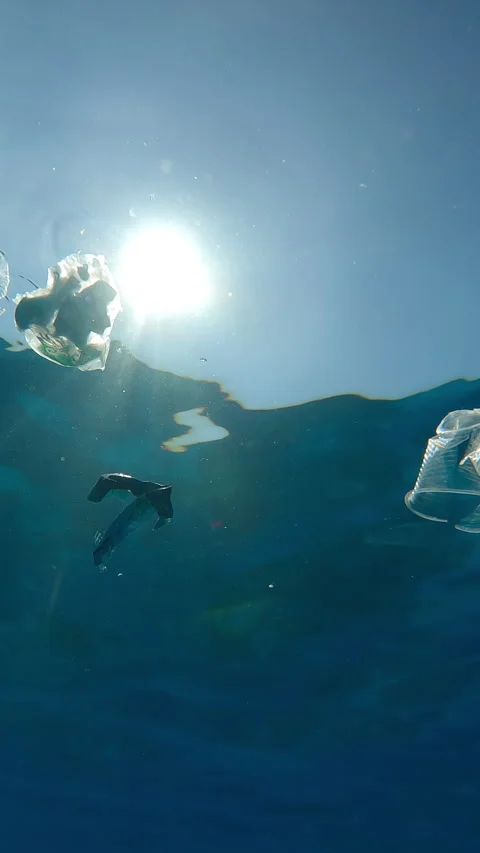 Bottom view of plastic garbage floating on water surface, against background of Stock Footage 345679991