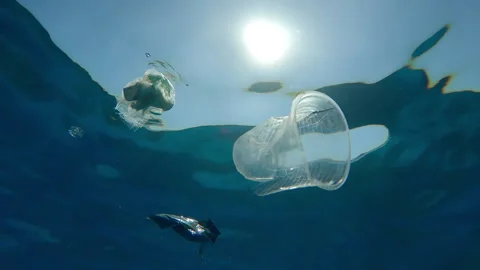 Bottom view of plastic trash drifting on surface of water, against background of Stock Footage 327620330
