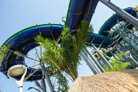 Bottom view of a round slide in a water park and a green palm tree. Stock Photos