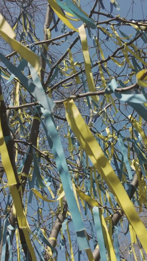 Bottom view on set of yellow and blue ribbons tied to branches of tree and Stock Footage 337446207