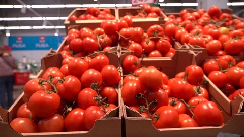 Bottom view Shelf chock full of fresh red tomatoes. Stock Footage 154651845