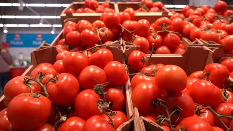 Bottom view Shelf chock full of fresh red tomatoes. nobody Stock Footage 156195615