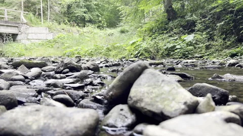 Bottom view shot of shallow mountains creek with crystal clear flowing water Stock Footage 323947084