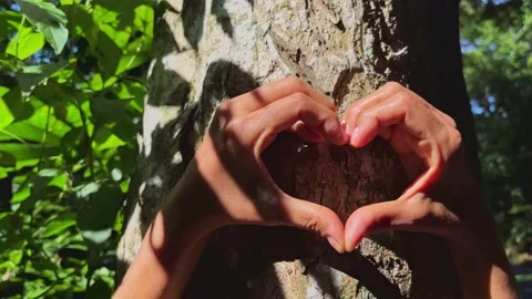 Bottom view in slow motion of a woman's hands forming a heart on the trunk .. Stock Footage 236654564