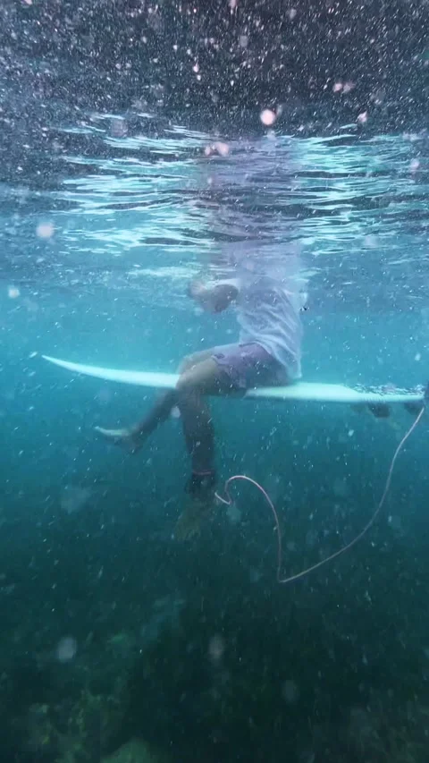 Bottom view of surfer in clear water Stock Footage 300756556