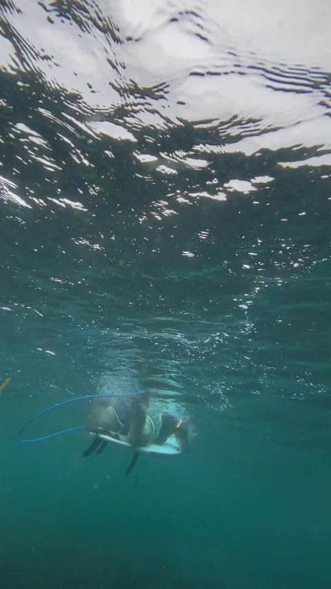Bottom view of surfer in clear water Stock Footage 300756604