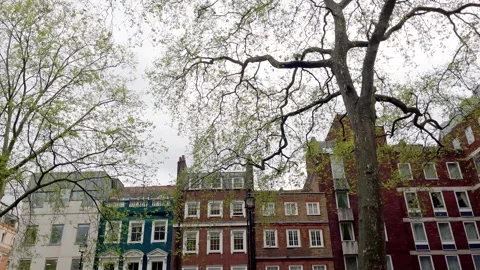 Bottom view of traditional, historical, typical buildings in London. Vídeo Stock 299715987