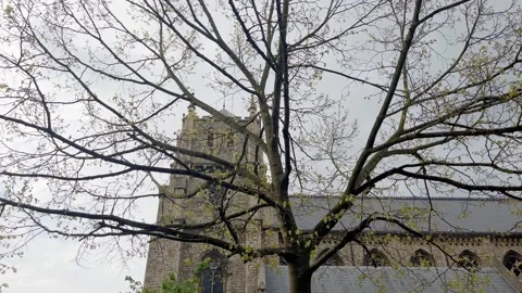 Bottom view of traditional, historical, typical building in London. Stock Footage 299716039