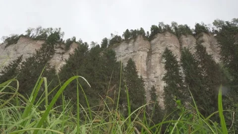 Bottom view of the Vetlan stone through the grass, rocks on the bank of Vishera Video stock 162943623