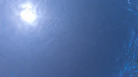 Bottom view of water surface and sun in pool or sea Stock Footage 118235661