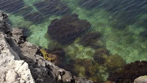 The bottom is visible through the clear water. Clear sea next to the rocky coast Video stock 156725666