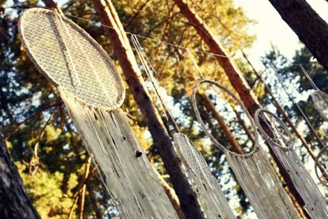 Bottom for wedding decoration rustic style in forest Foto stock