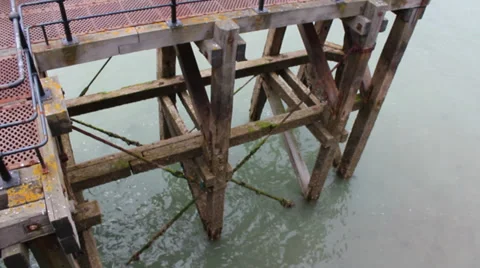 Bottom of wood pier Stock Footage 36556916