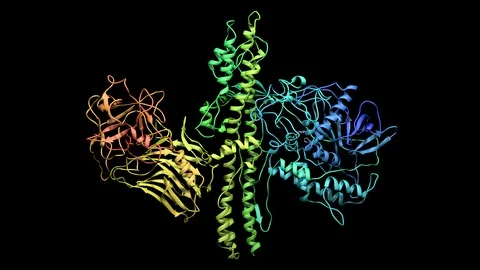 Botulinum molecule 3d animation Stock Footage 103187561