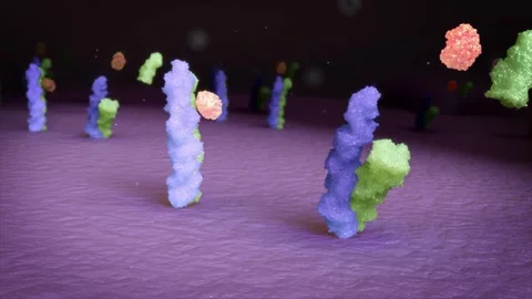 Botulinum toxin blocks nerve signals, relaxing the nerve-to-muscle pathway Stock Footage 345200038