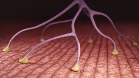 Botulinum toxin blocks nerve signals, causing motor neurons to relax Stock Footage 345200048