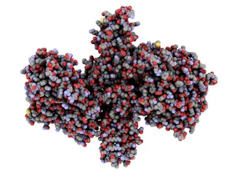 Botulinum toxin a, molecular model Stock Illustration