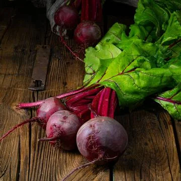 Botwina, Rustic Young Beetroot Stock Photos